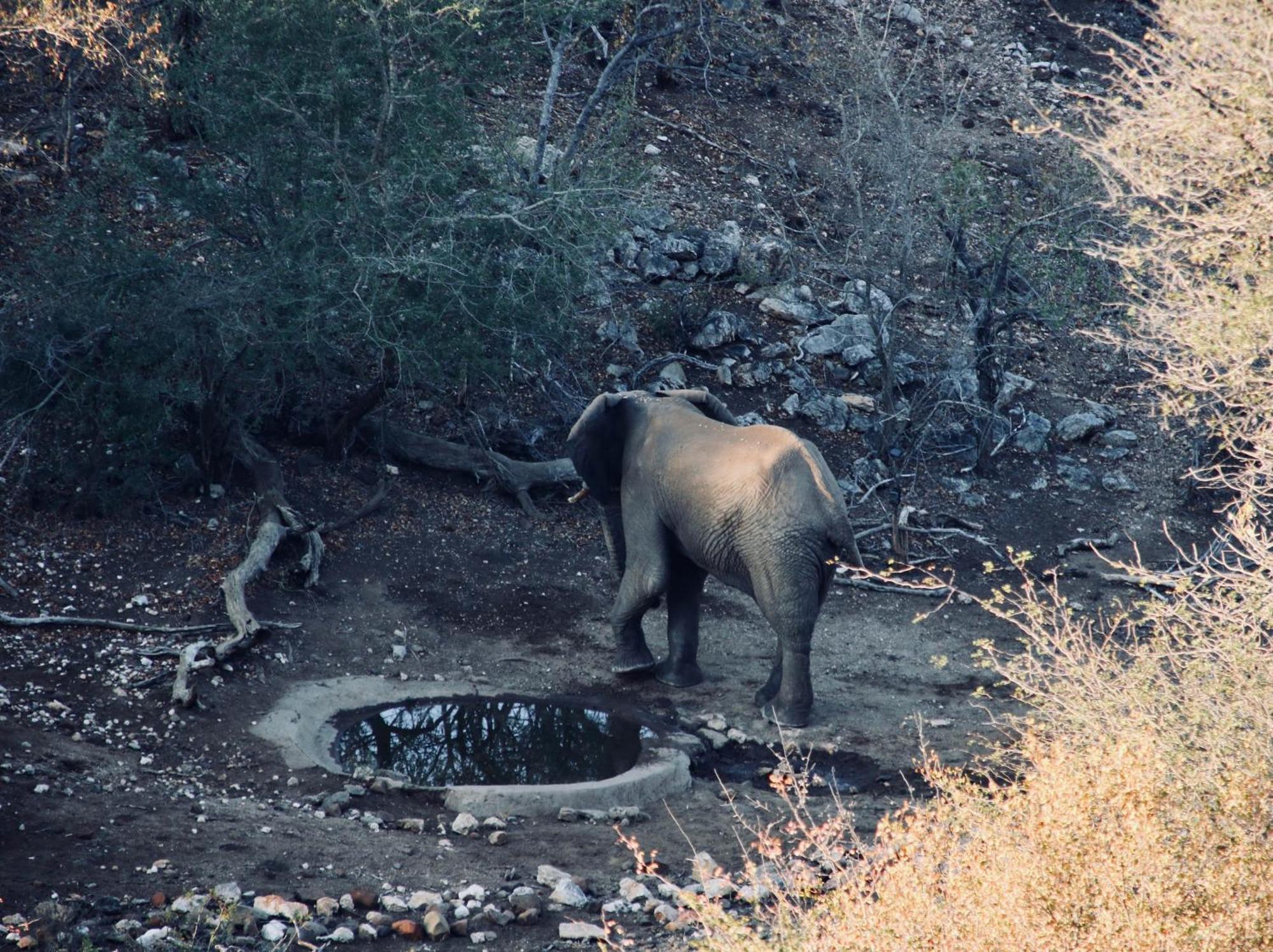 Parsons Hilltop Safari Camp Balule Game Reserve Zewnętrze zdjęcie