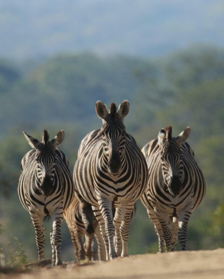 Parsons Hilltop Safari Camp Balule Game Reserve Zewnętrze zdjęcie