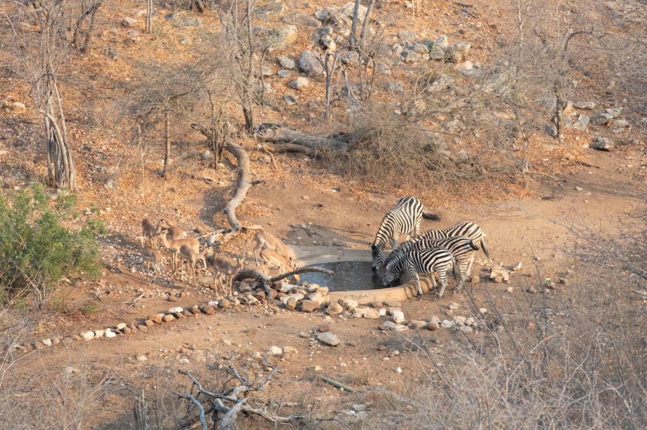 Parsons Hilltop Safari Camp Balule Game Reserve Zewnętrze zdjęcie